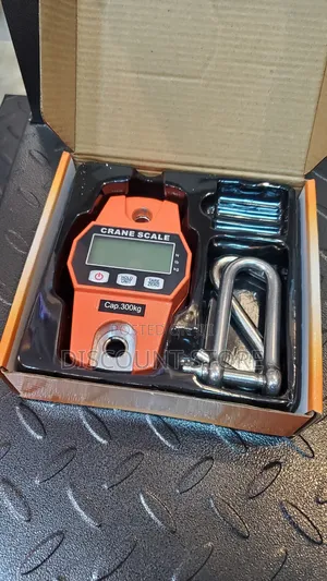300kg Electronic Mini Crane Scale [67]