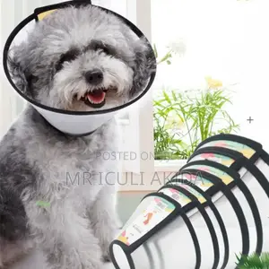 Photo - Pet Health After Surgery Elizabethan Dog Cone Collar