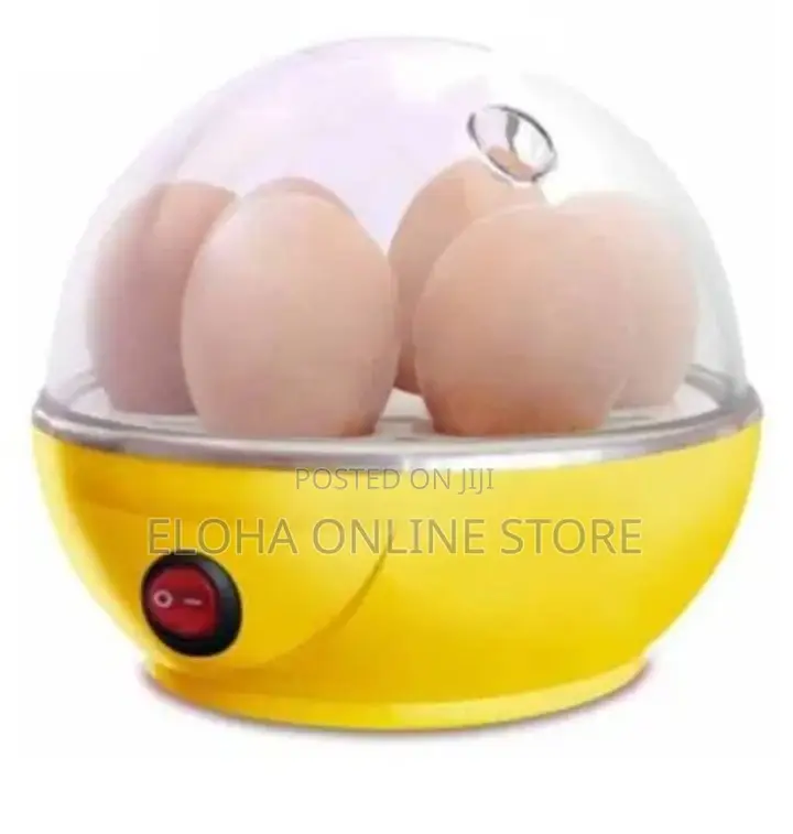 6 Electric Egg Boiler