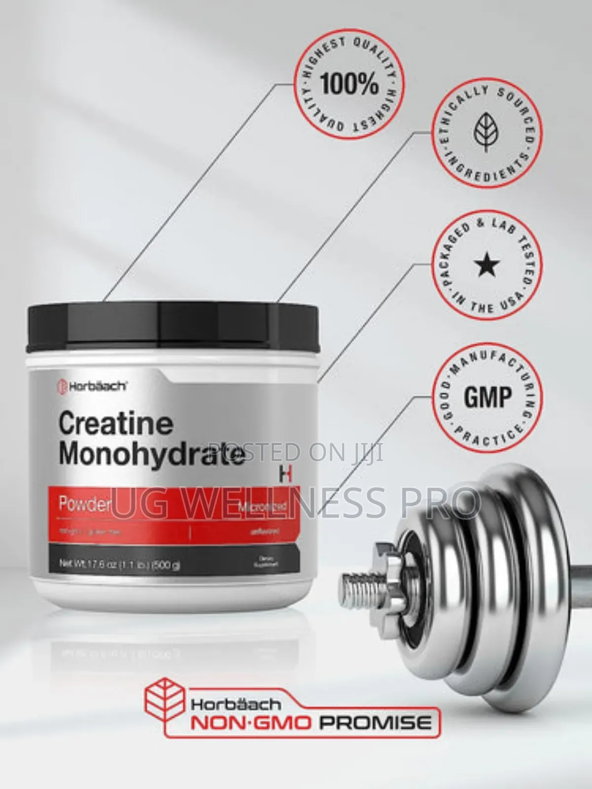 Creatine Monohydrate Powder 500g