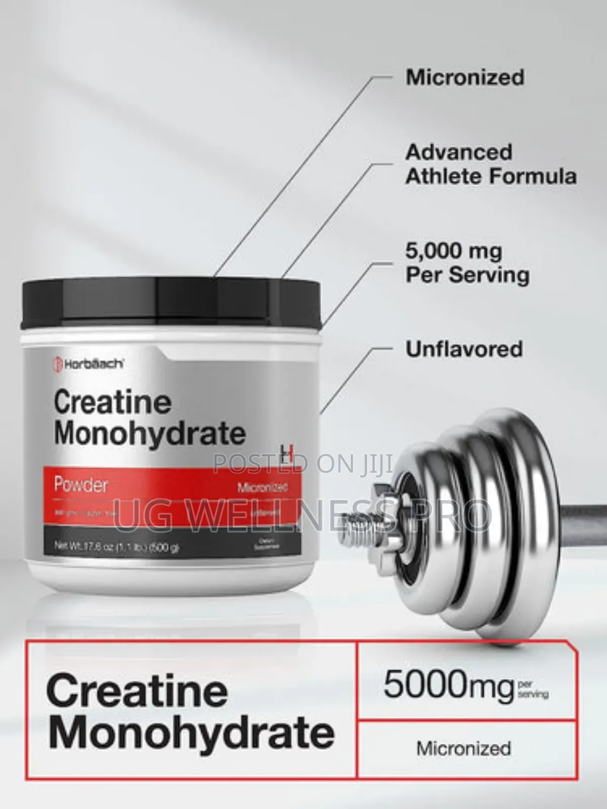 Creatine Monohydrate Powder 500g
