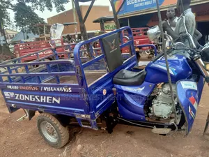 Tricycle 2023 Blue