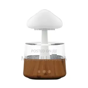 Electric Ultrasonic Aroma Diffuser Rain Cloud Humidifier