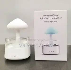 Electric Ultrasonic Aroma Diffuser Rain Cloud Humidifier