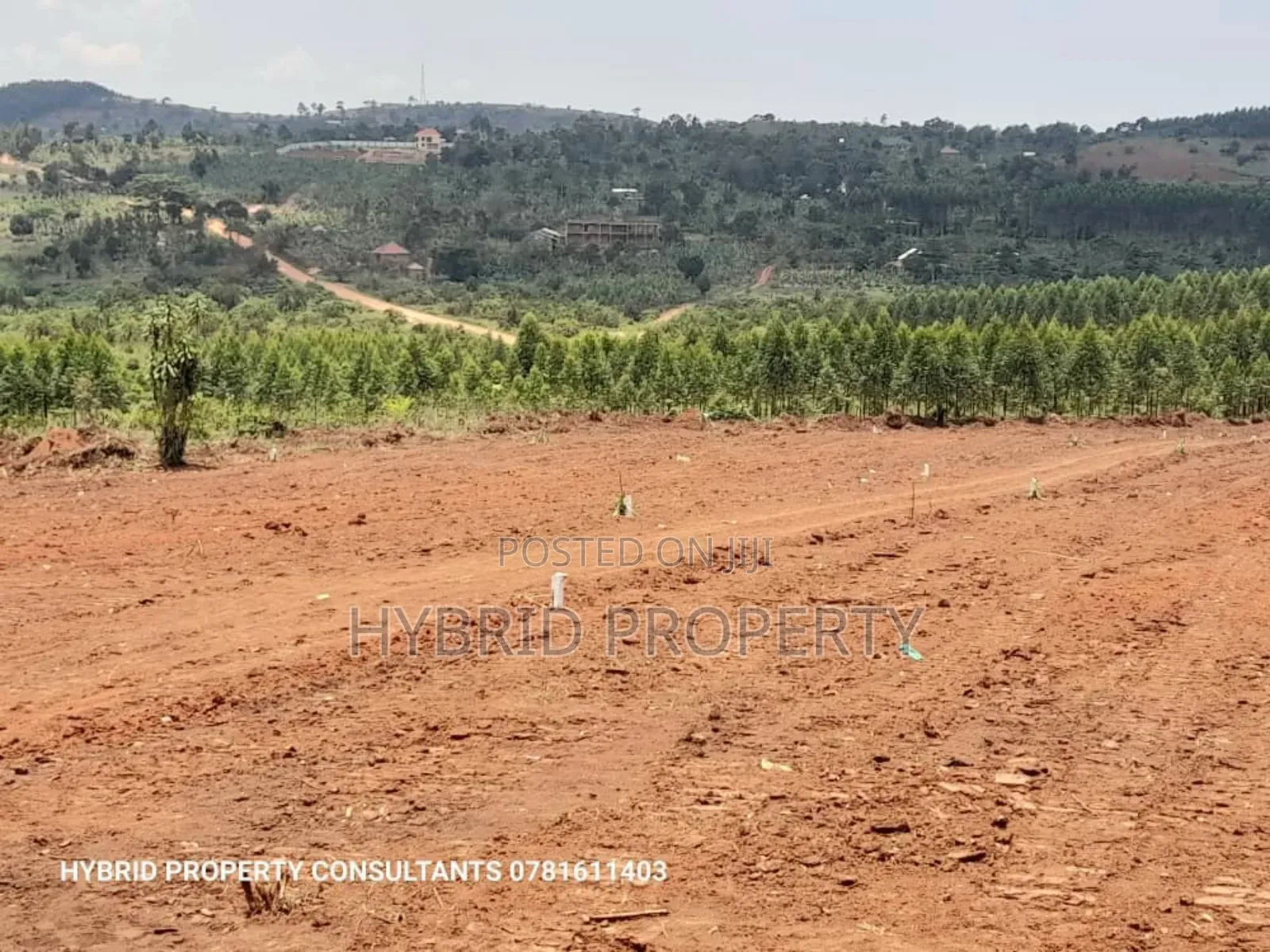 Prime Plots For Sale At Our Katende Modern Site~Masaka Road.