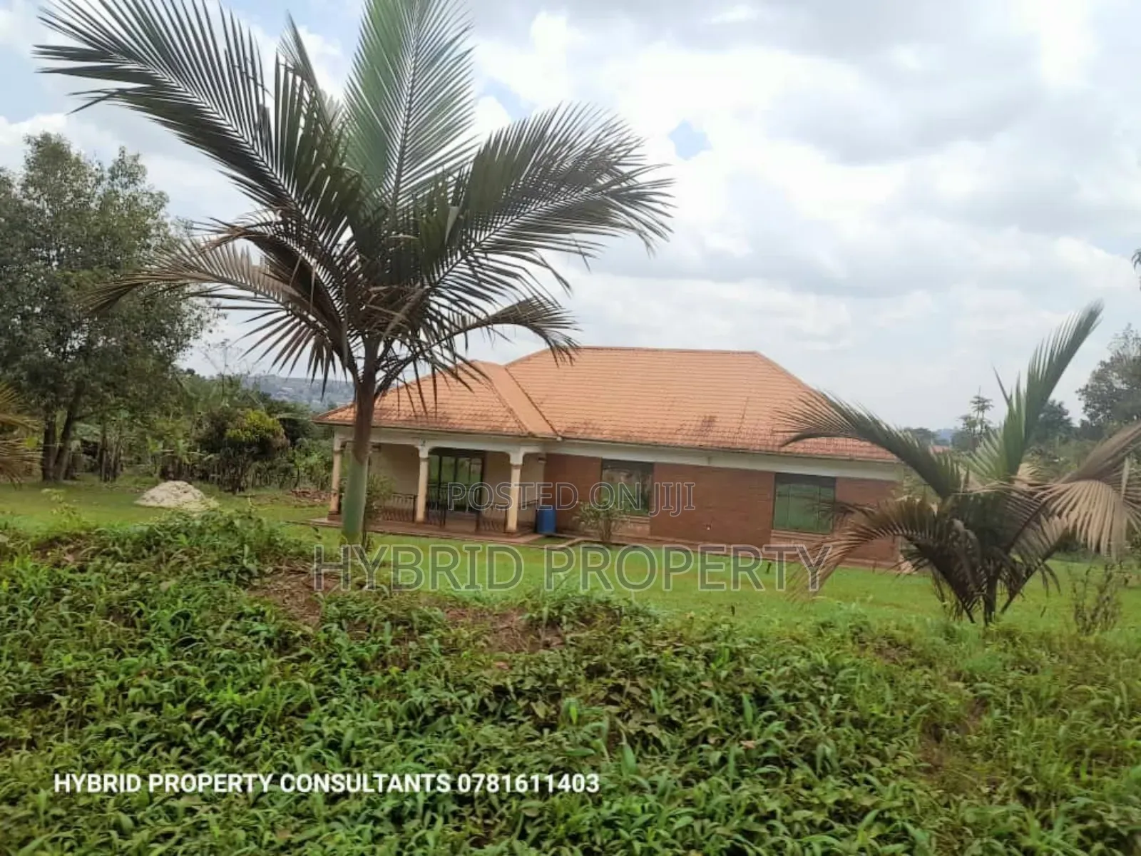 Prime Plots For Sale At Our Katende Modern Site~Masaka Road.