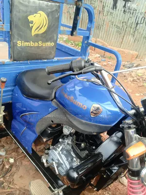 Tricycle 2023 Blue
