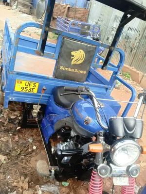 Tricycle 2023 Blue