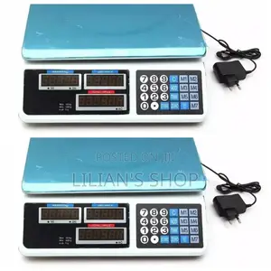 Rechargeable Price Computing Scale