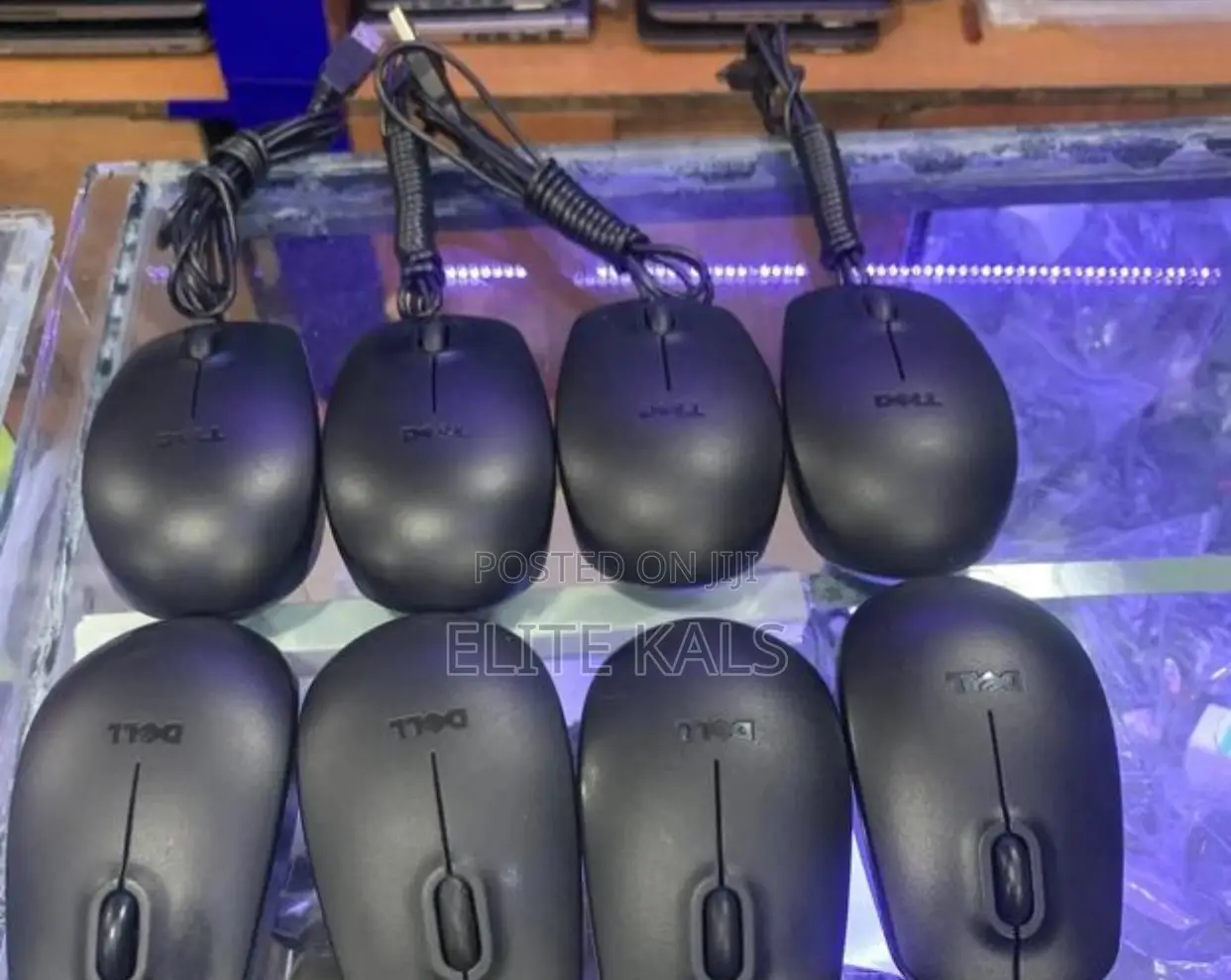 UK Used Mouse/Mice