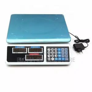 Rechargeable Price Computing Scale
