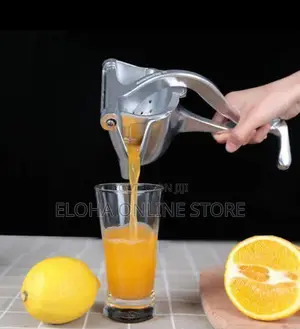 Metallic Fruit Juice Squeezer