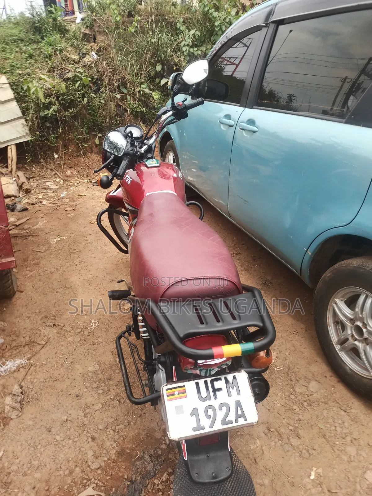 TVS HLX 125 2022 Red