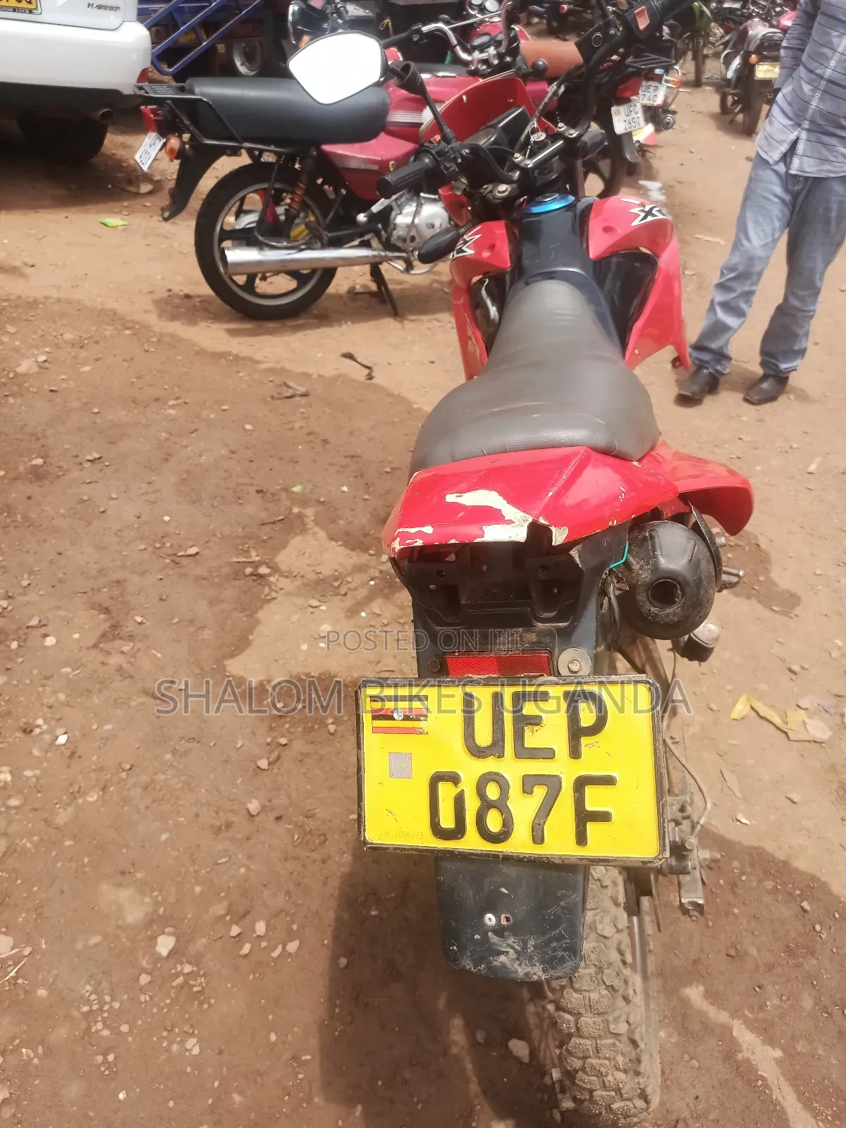 Honda Transalp XL600V 2019 Red