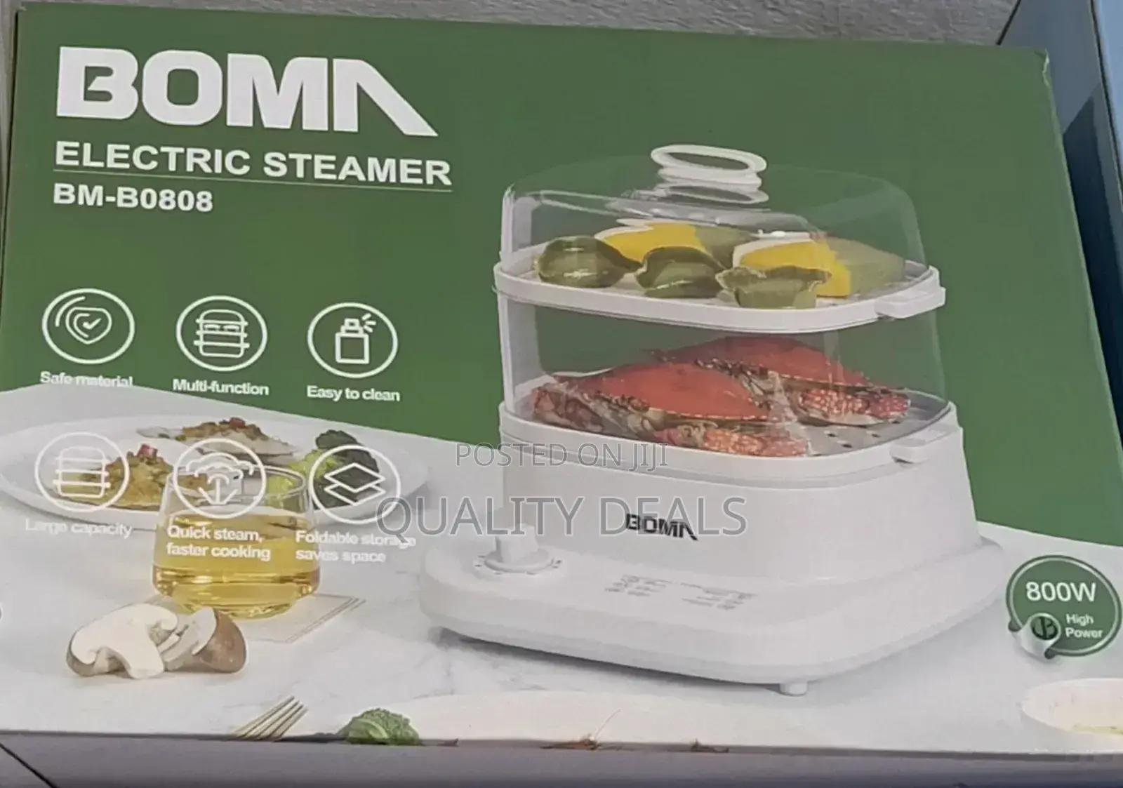 BOMA Electric Steamer