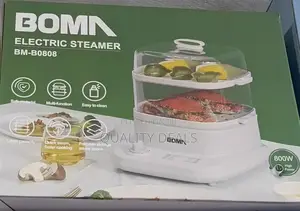 BOMA Electric Steamer