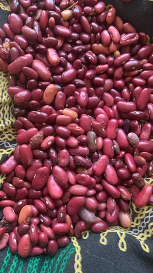 Photo - Wayilimu Beans