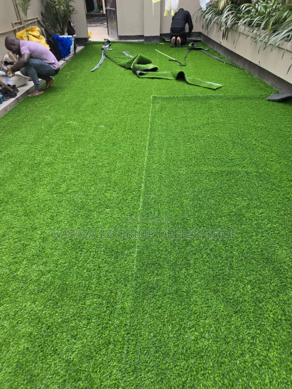 Short Grass Carpet