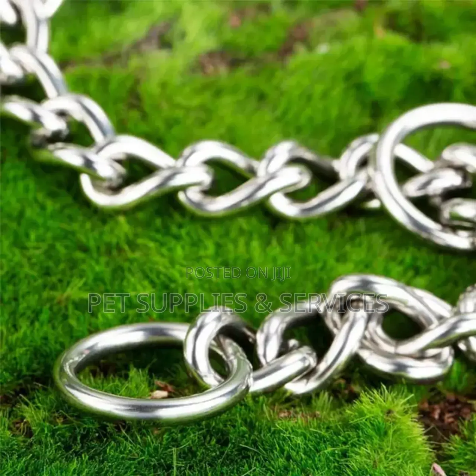 Dog Shock Chain