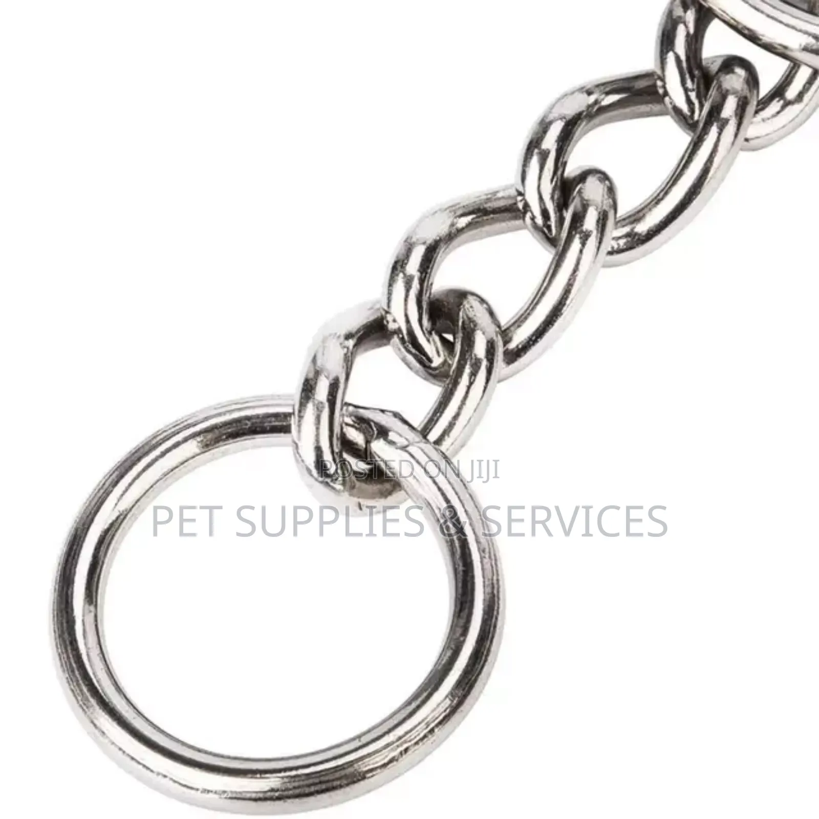Dog Shock Chain