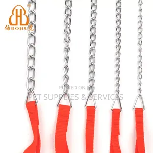 Dog Walking Chain