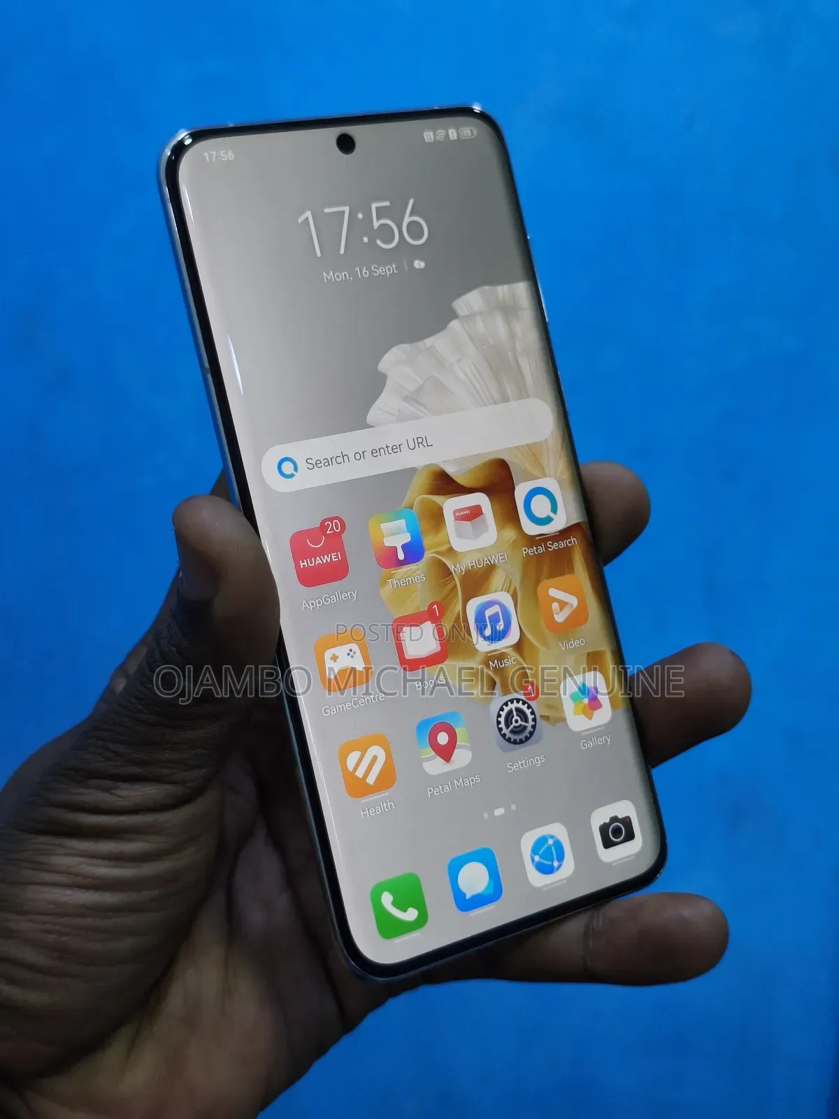 Huawei P60 Pro 256 GB Silver