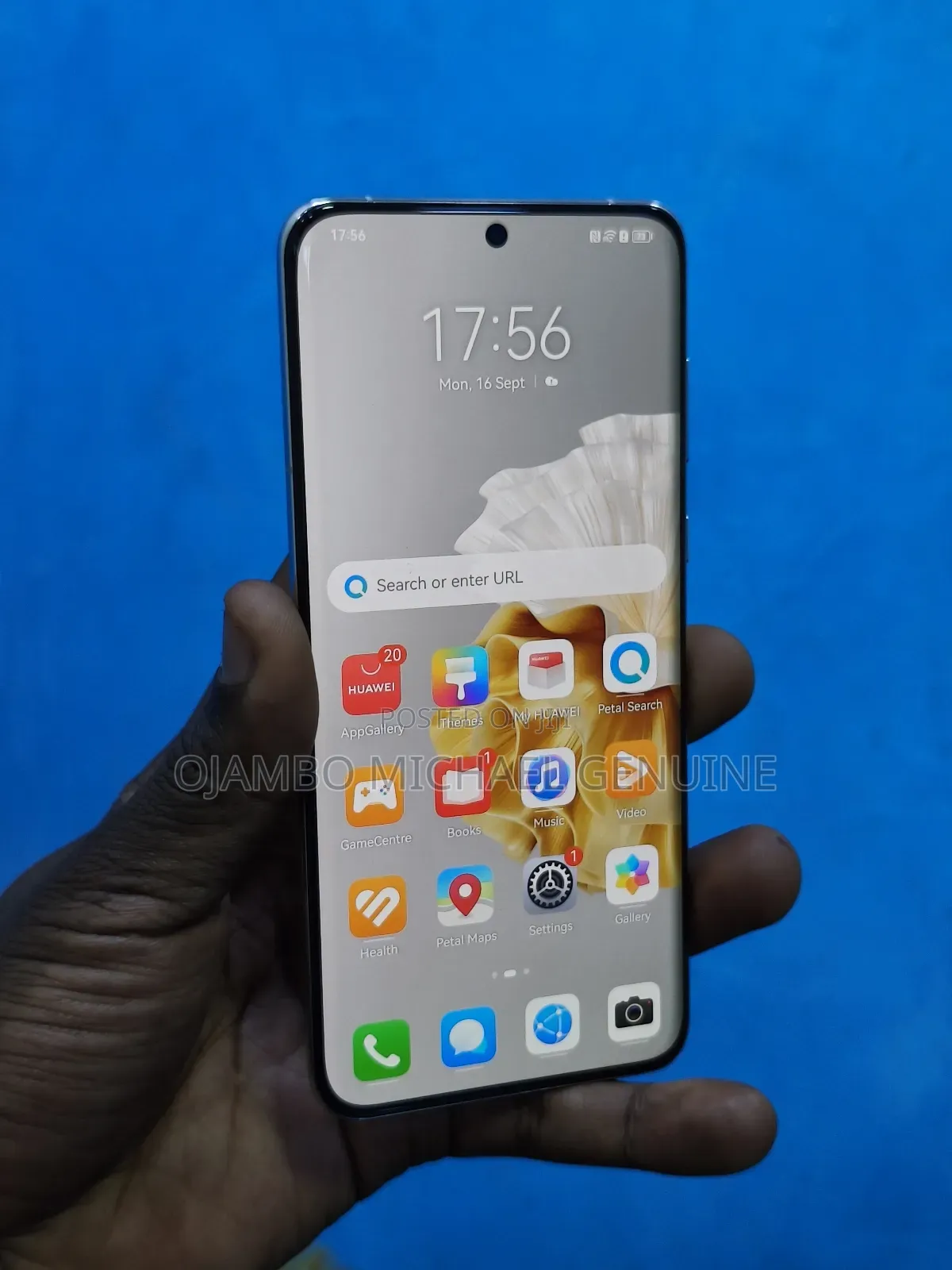 Huawei P60 Pro 256 GB Silver