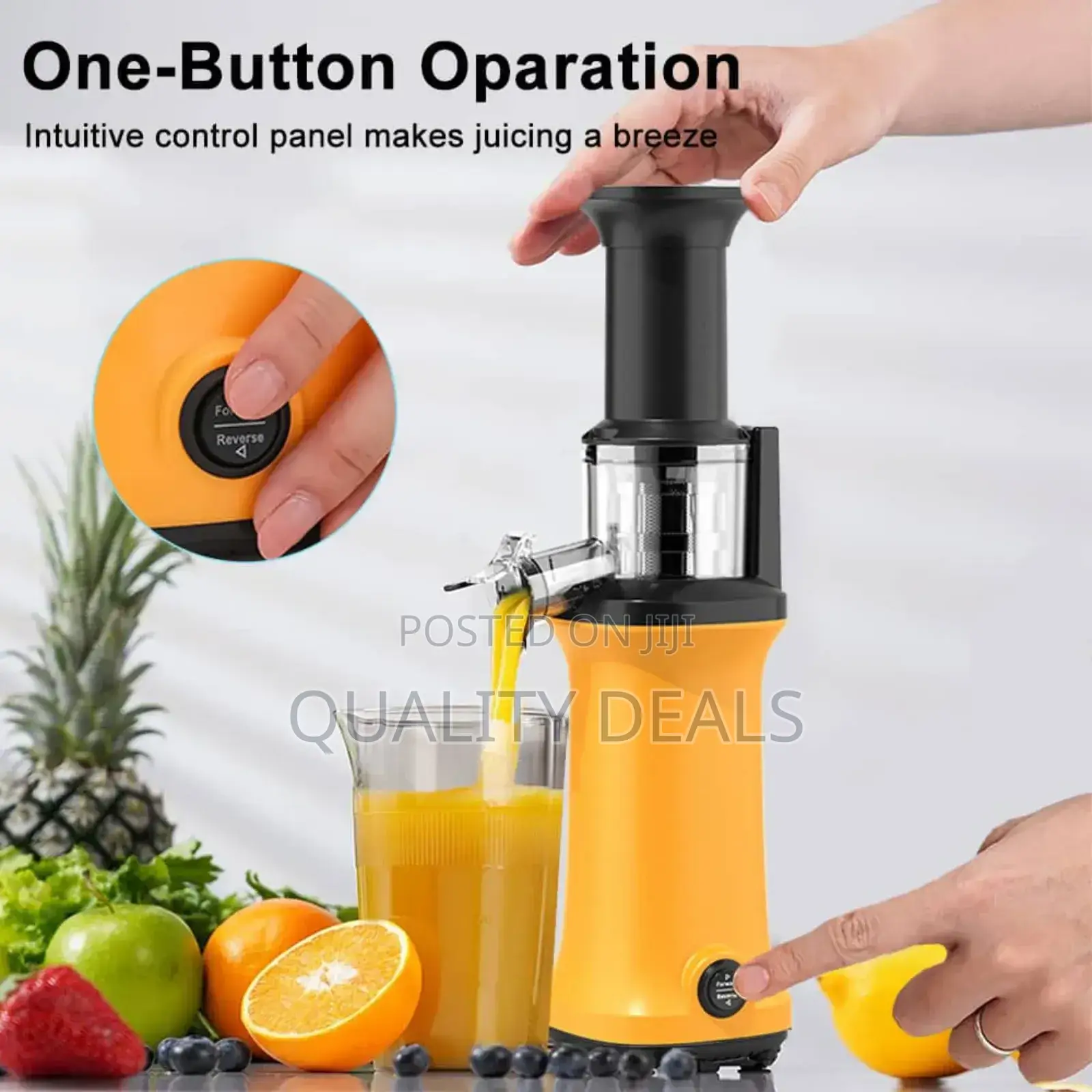 Meileyi Masticating Juicer Machine