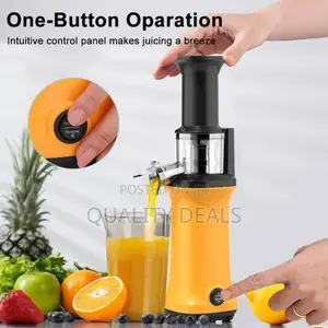 Meileyi Masticating Juicer Machine