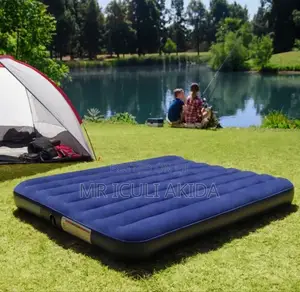 Intex Inflatable Mattress Pressure Mattress WTH 2pillow,Pump