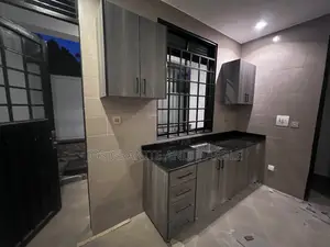 Black Pearl Granite Countertops