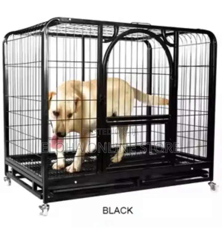 Metallic Dog Cage