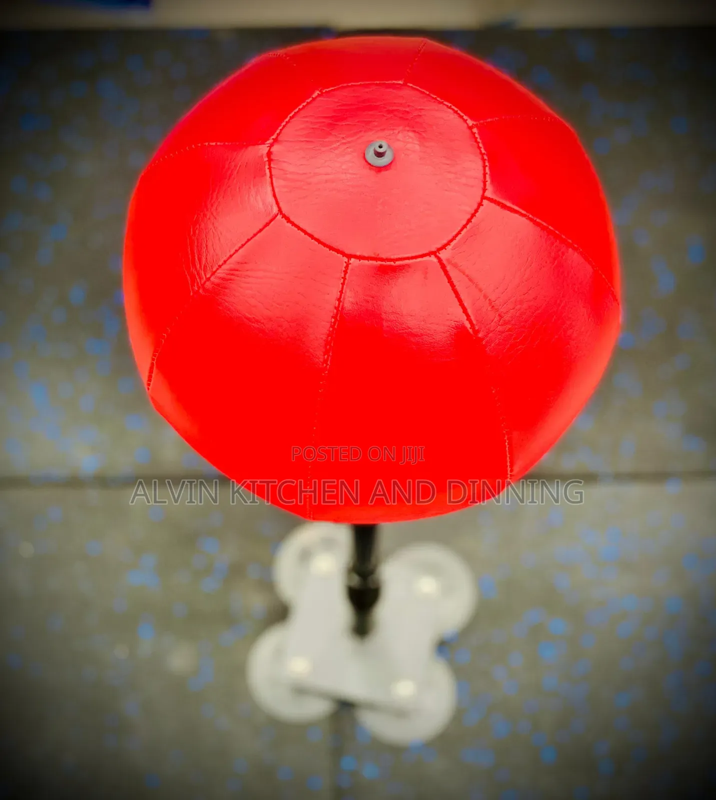 Punching Bag / Speed Bag
