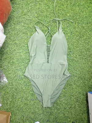 Ladies Swimming Costume
