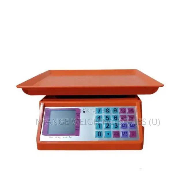 40kg Industrial Weighing Scale Electronic Balance Weighing Scales (1)