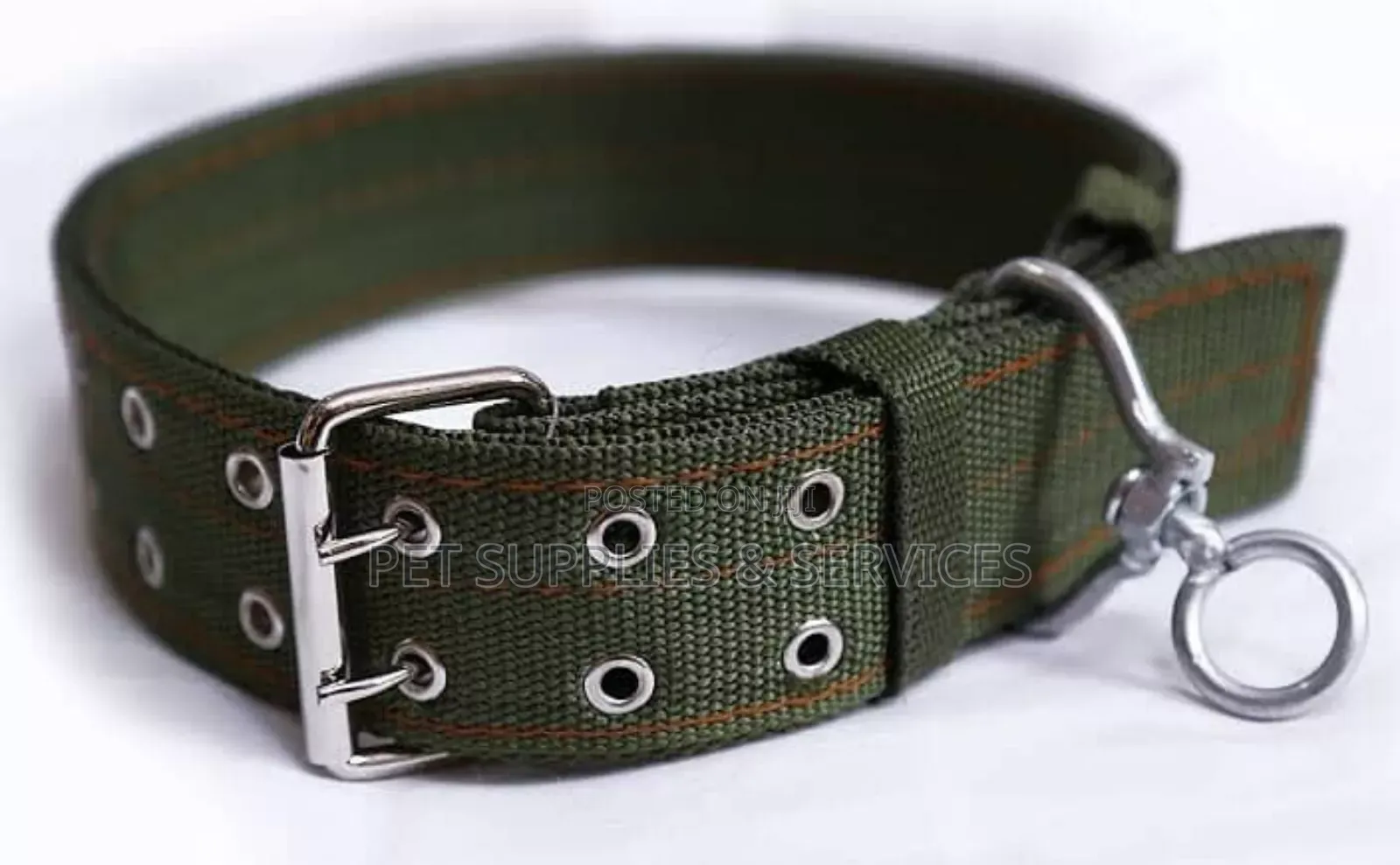 Big Dog Collars