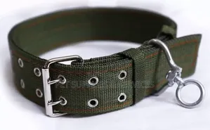 Big Dog Collars