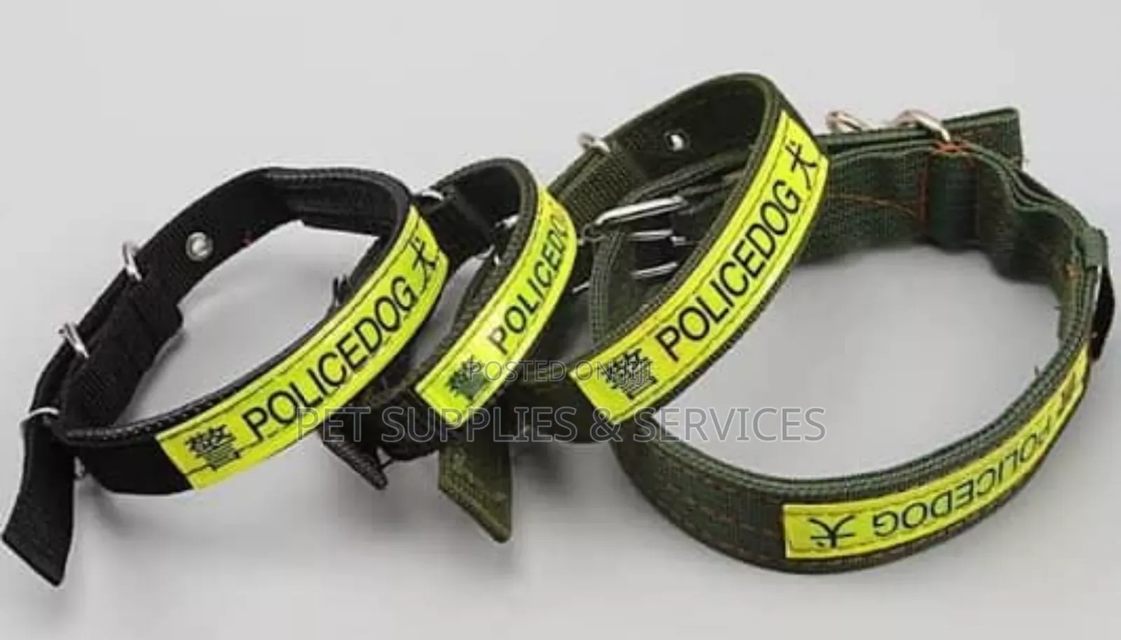 Big Dog Collars