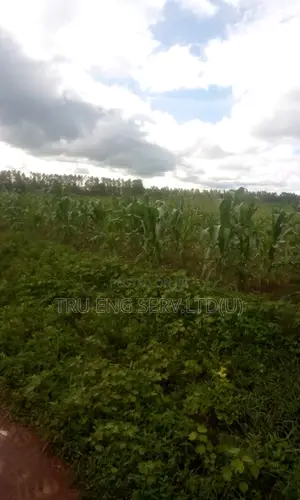 280 Acres Titled Land for Sale