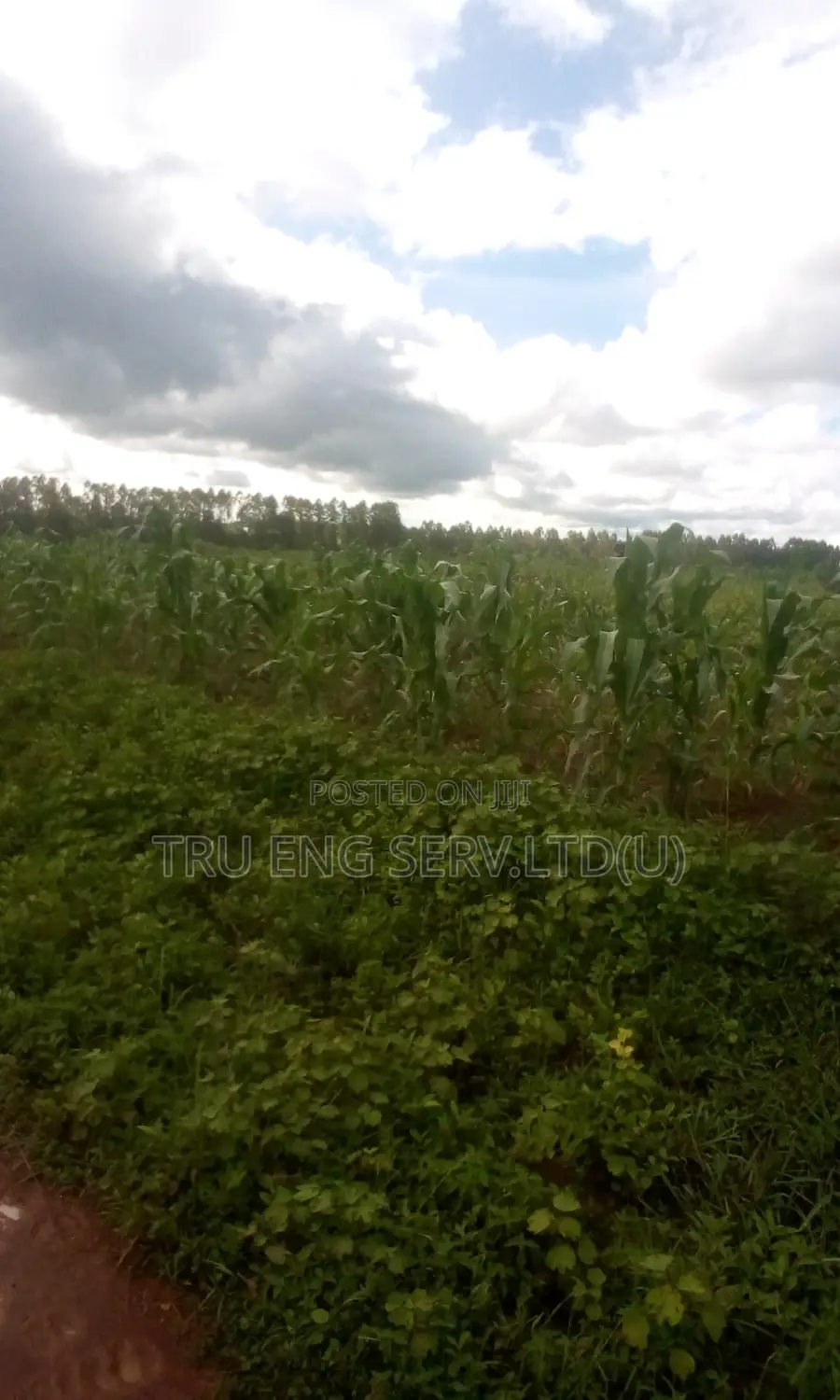 280 Acres Titled Land for Sale