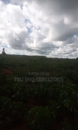 350 Acres for Sale(Titled)