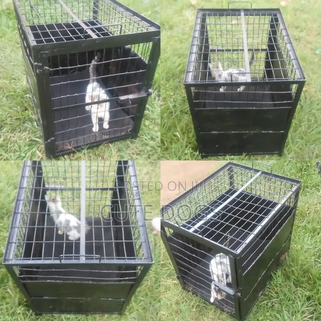 Metallic Pet Carrier Cage