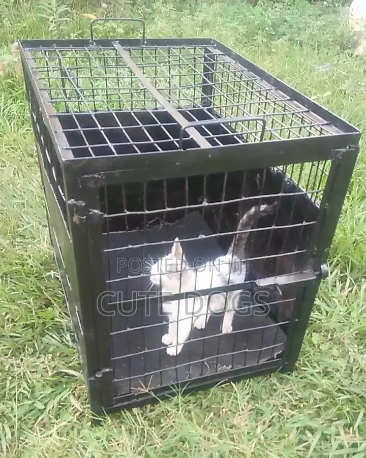 Metallic Pet Carrier Cage