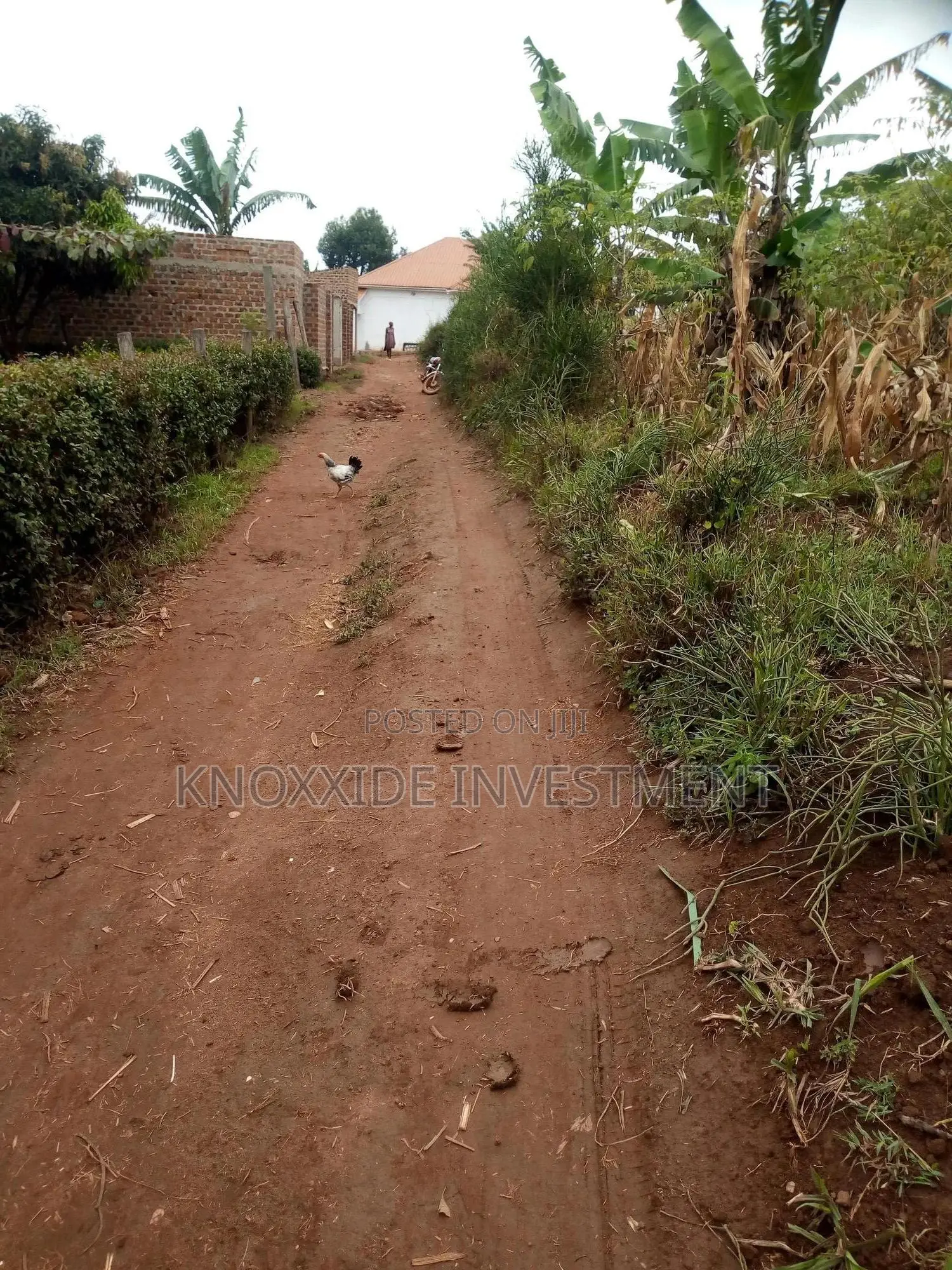 Land for Sale 100x100ft at 80m Ugx Kyebando Muyomba Town