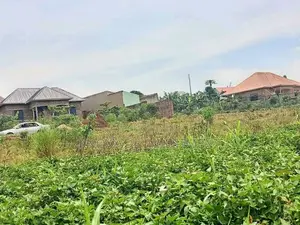 Plot for Sell 100x50ft at 37m Ugx Bukalango Ready Tittle