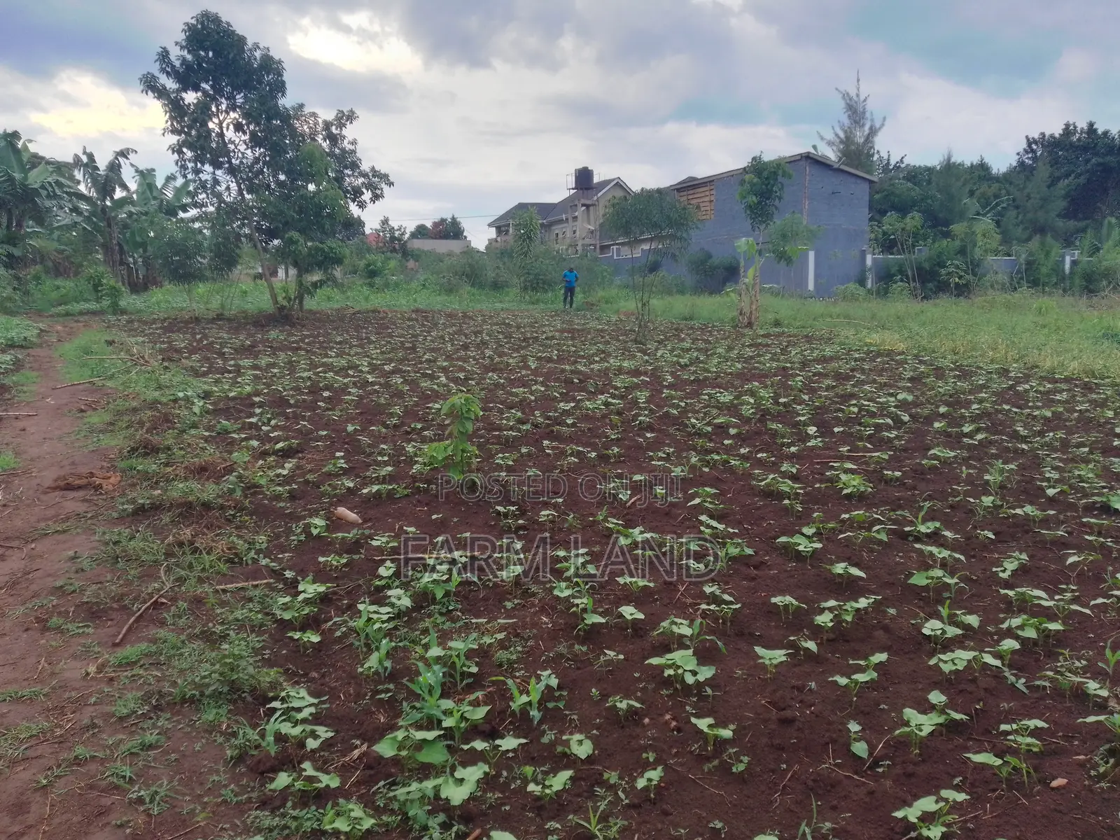 12 Decimals Plots on Sale in Mukono in Central Division Land & Plots