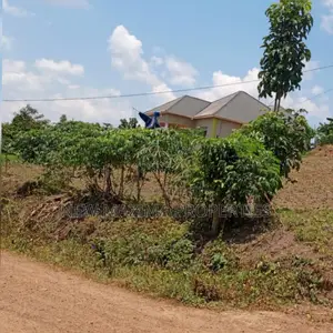 Very Nice Plot Equivalent 100ftx100ft in Kakiri Nakyerongosa