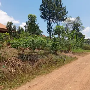 Very Nice Plot Equivalent 100ftx100ft in Kakiri Nakyerongosa
