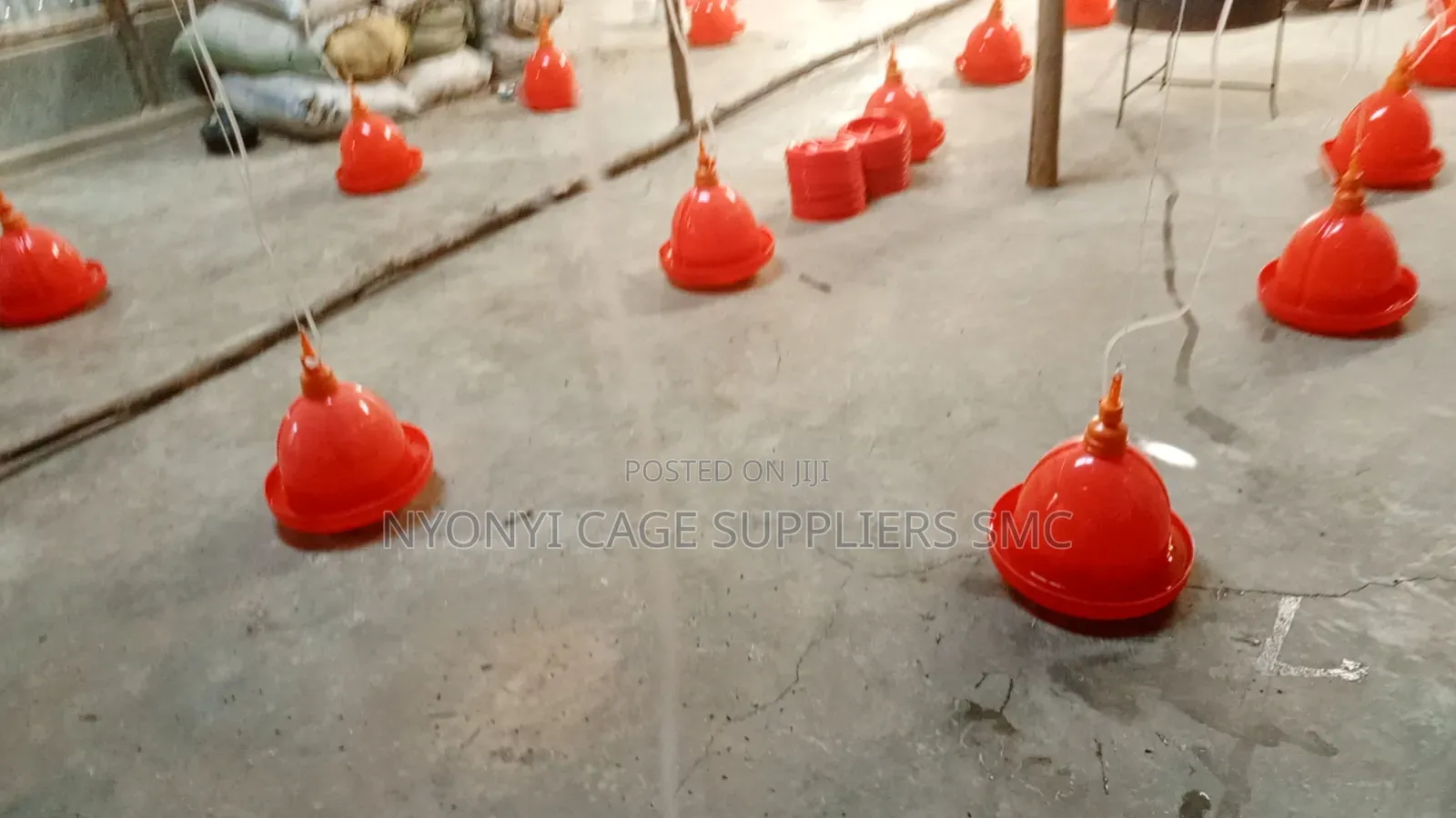 Bell Drinkers