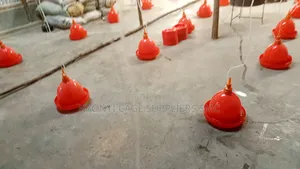 Bell Drinkers
